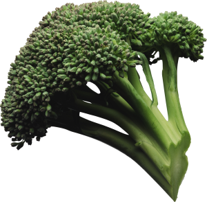 Broccoli PNG image-2823